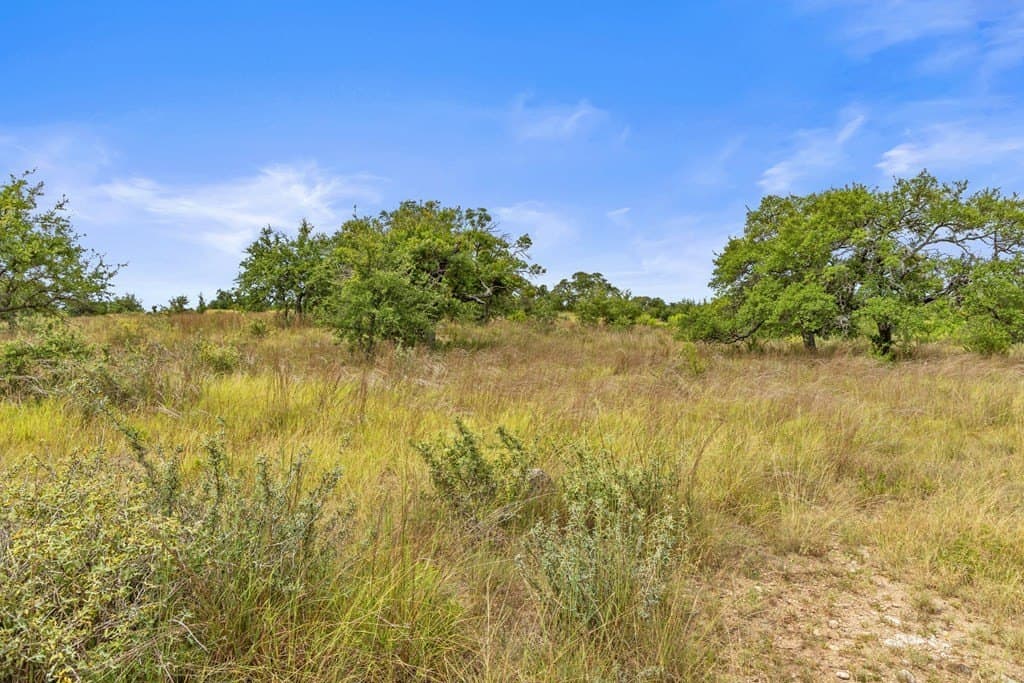 6.5 acres in Blanco County - photo 14