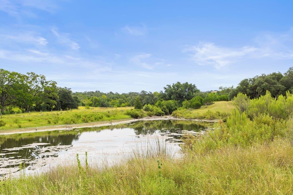 6.5 acres in Blanco County gallery image 2