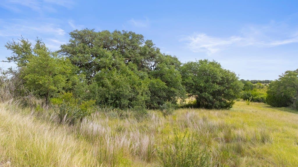 6.5 acres in Blanco County - photo 31