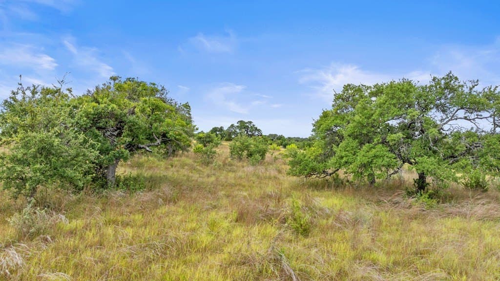 6.5 acres in Blanco County - photo 8