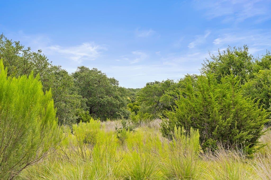 6.5 acres in Blanco County - photo 24