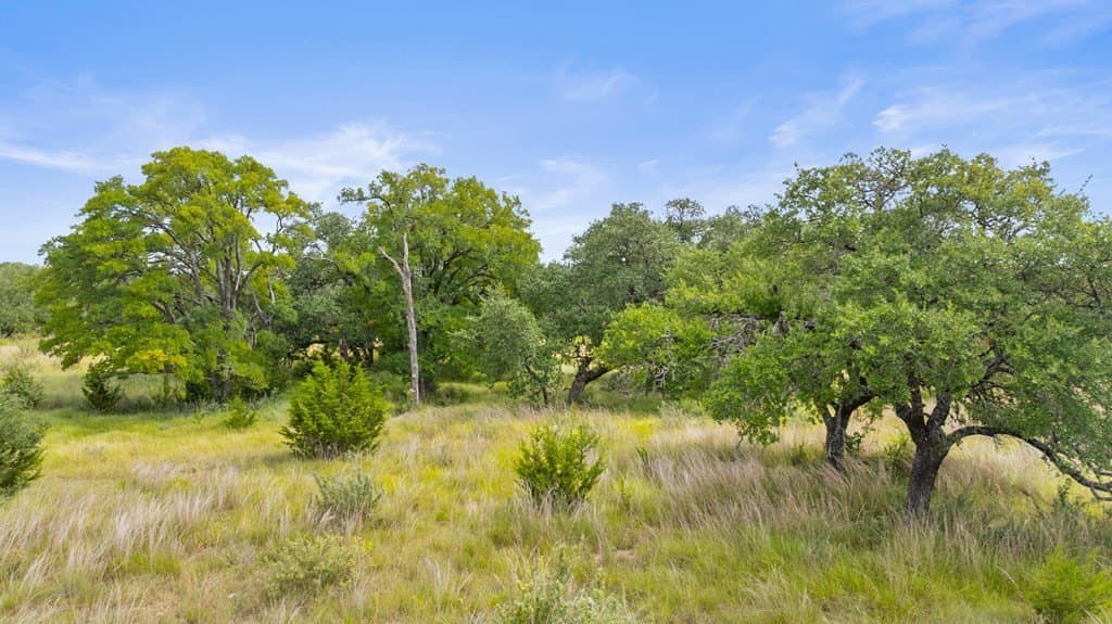 6.5 acres in Blanco County - photo 29