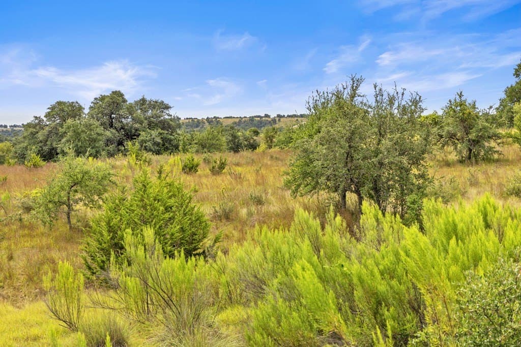 6.5 acres in Blanco County - photo 10