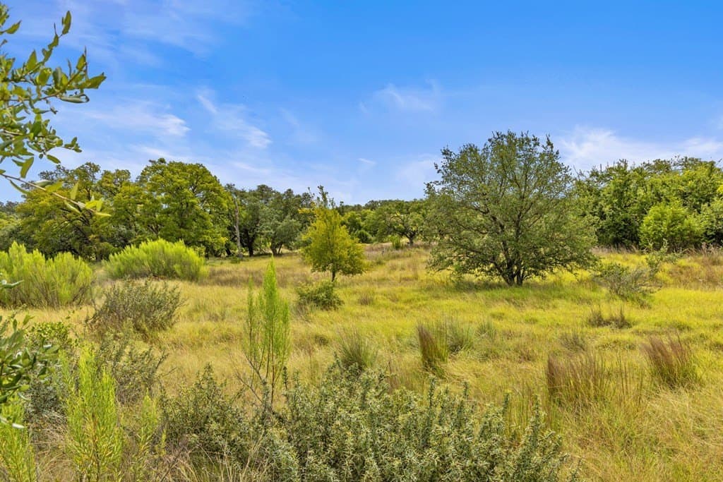 6.5 acres in Blanco County - photo 11