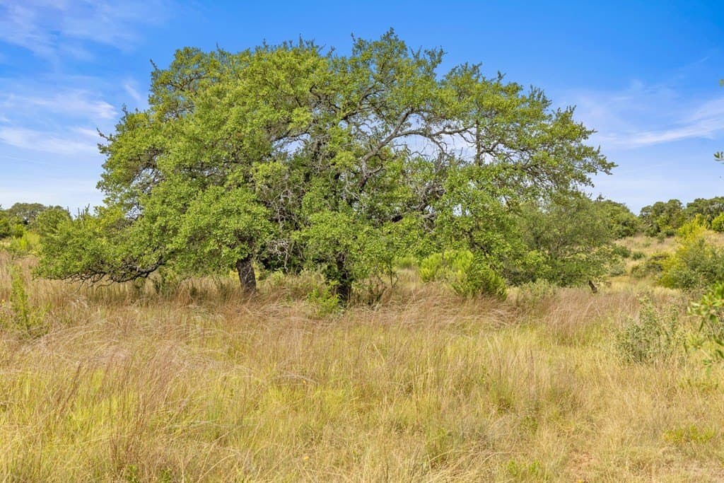 6.5 acres in Blanco County - photo 13
