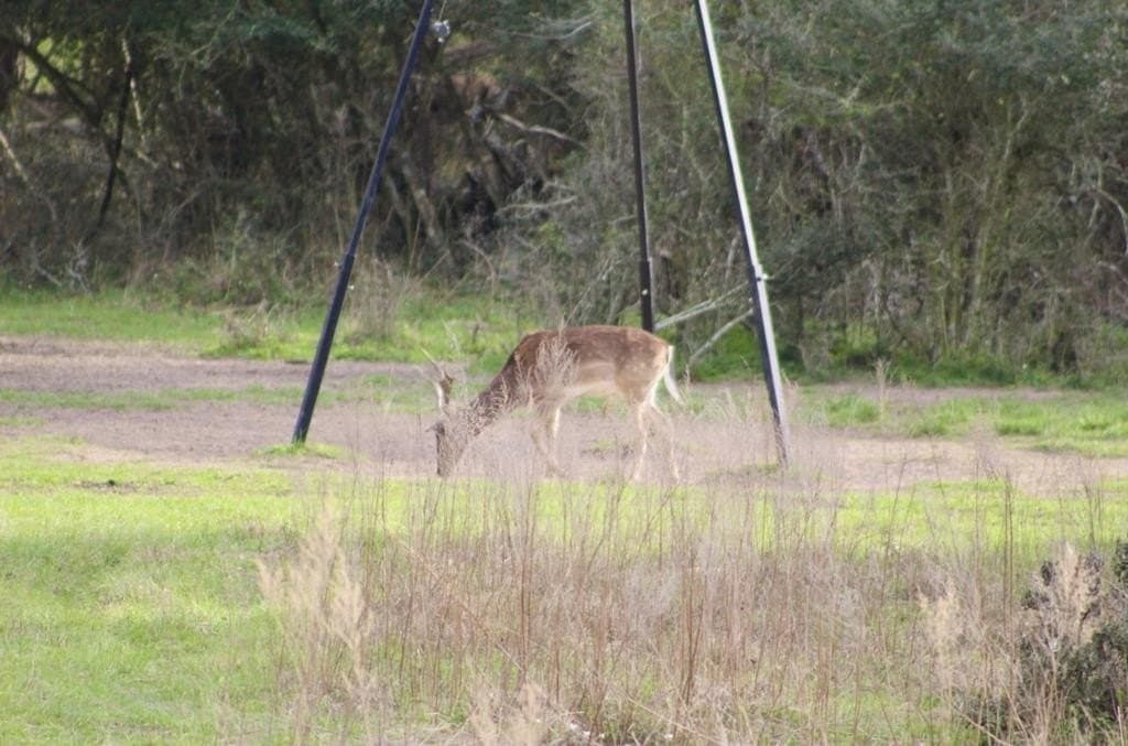 142 acres in Texas County - photo 86