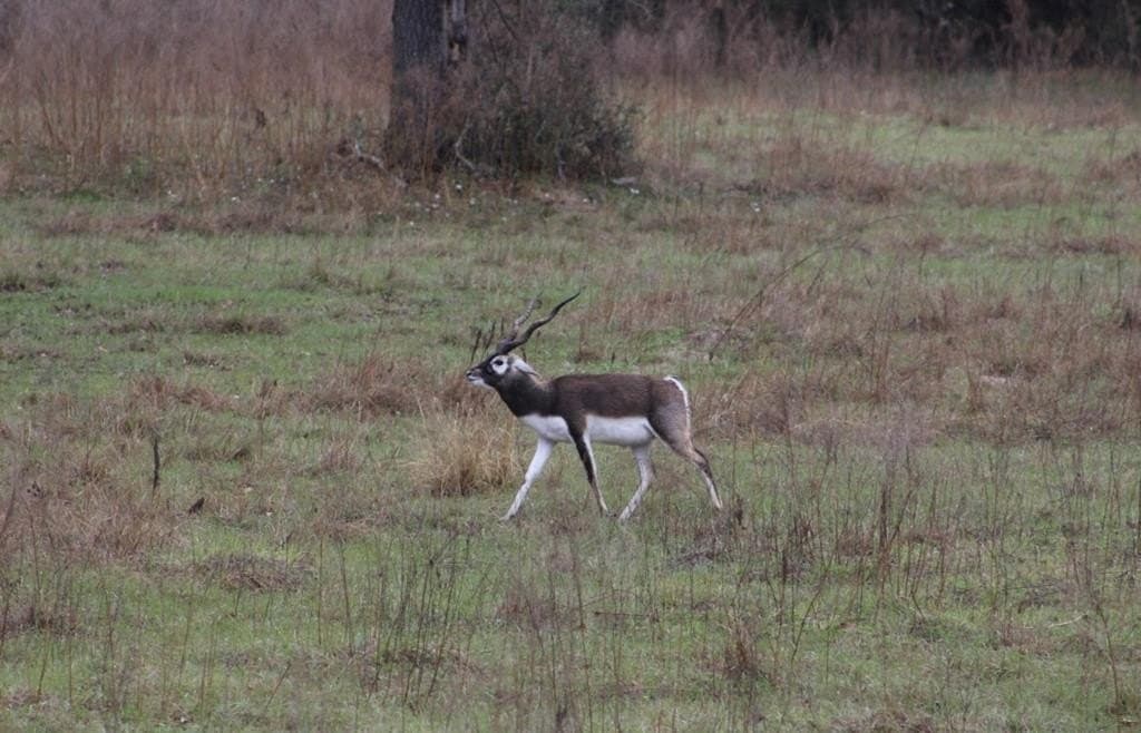 142 acres in Texas County - photo 85