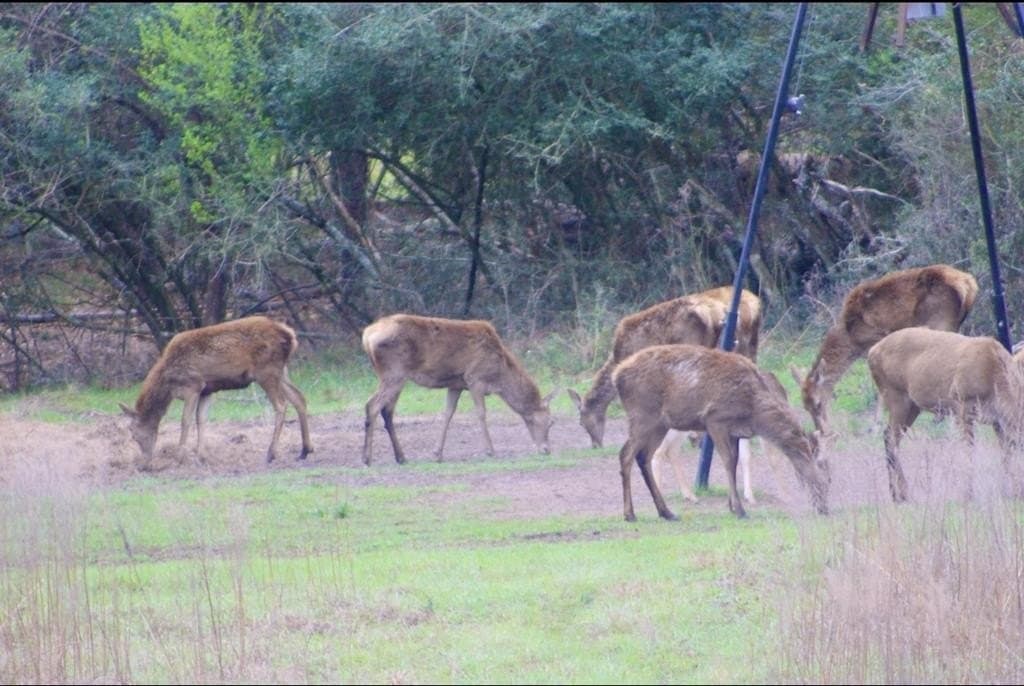 142 acres in Texas County - photo 84