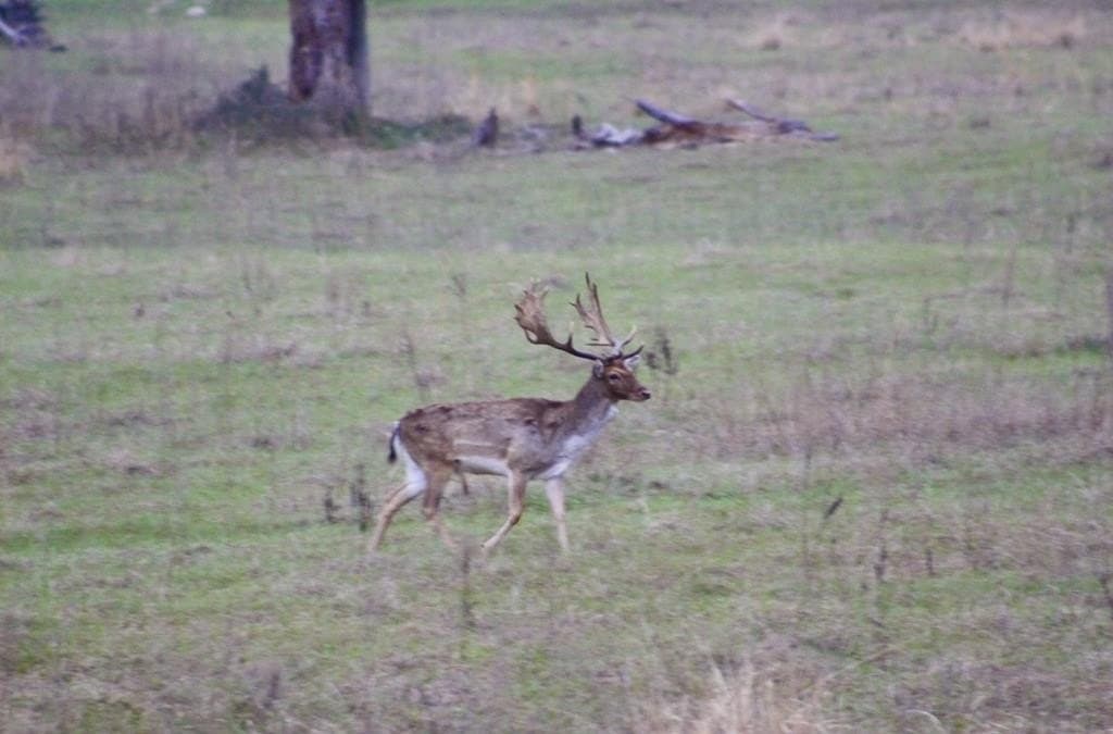 142 acres in Texas County - photo 88