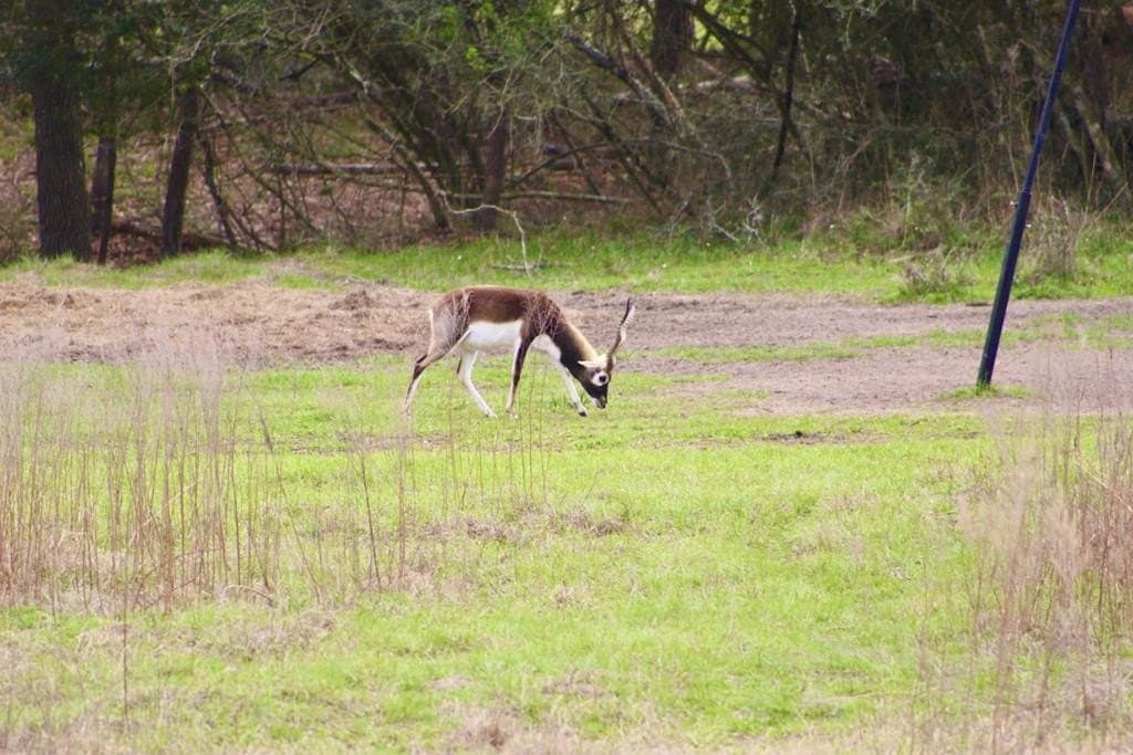 142 acres in Texas County - photo 80