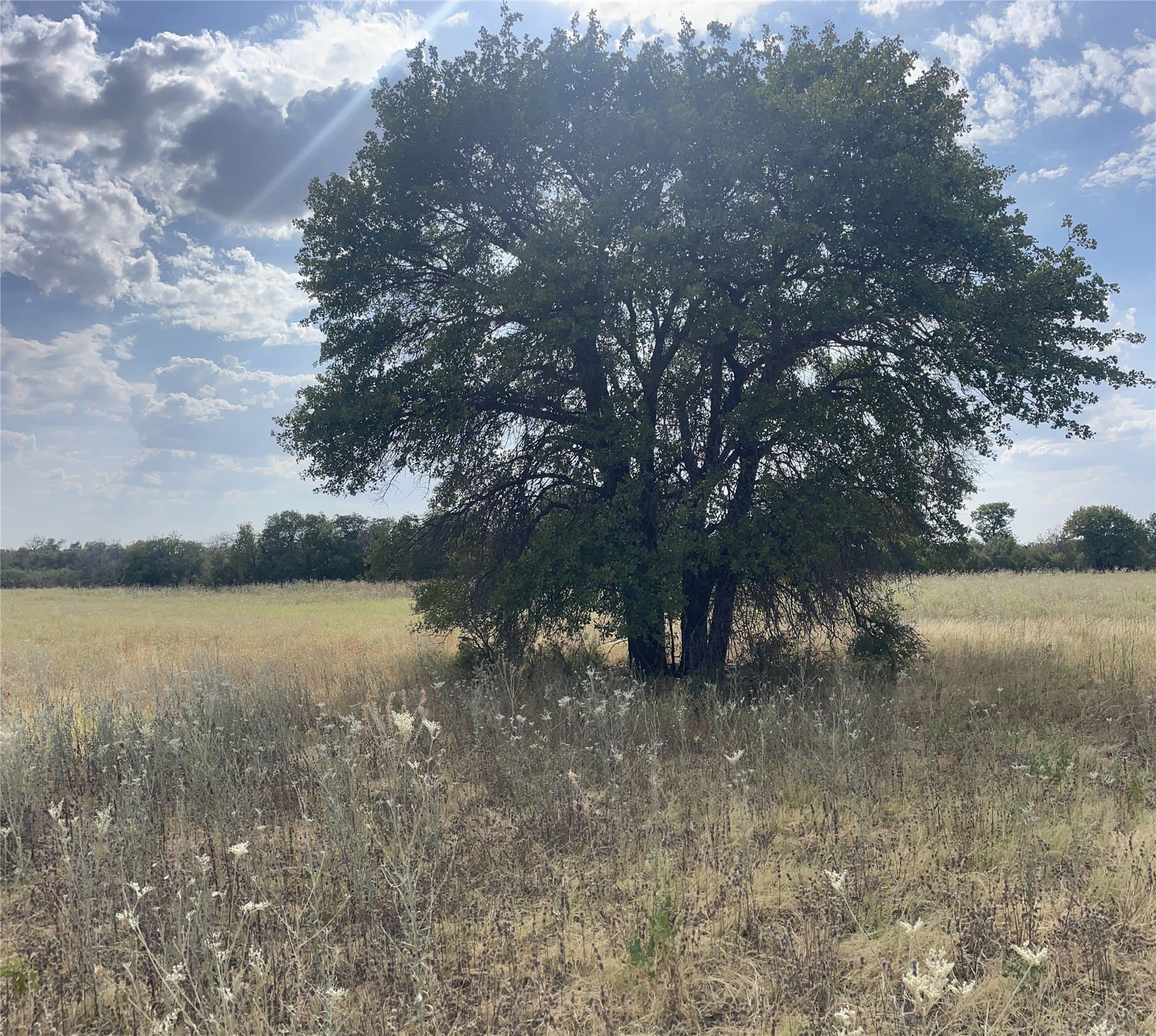 4.3 acres in Jones County - photo 4