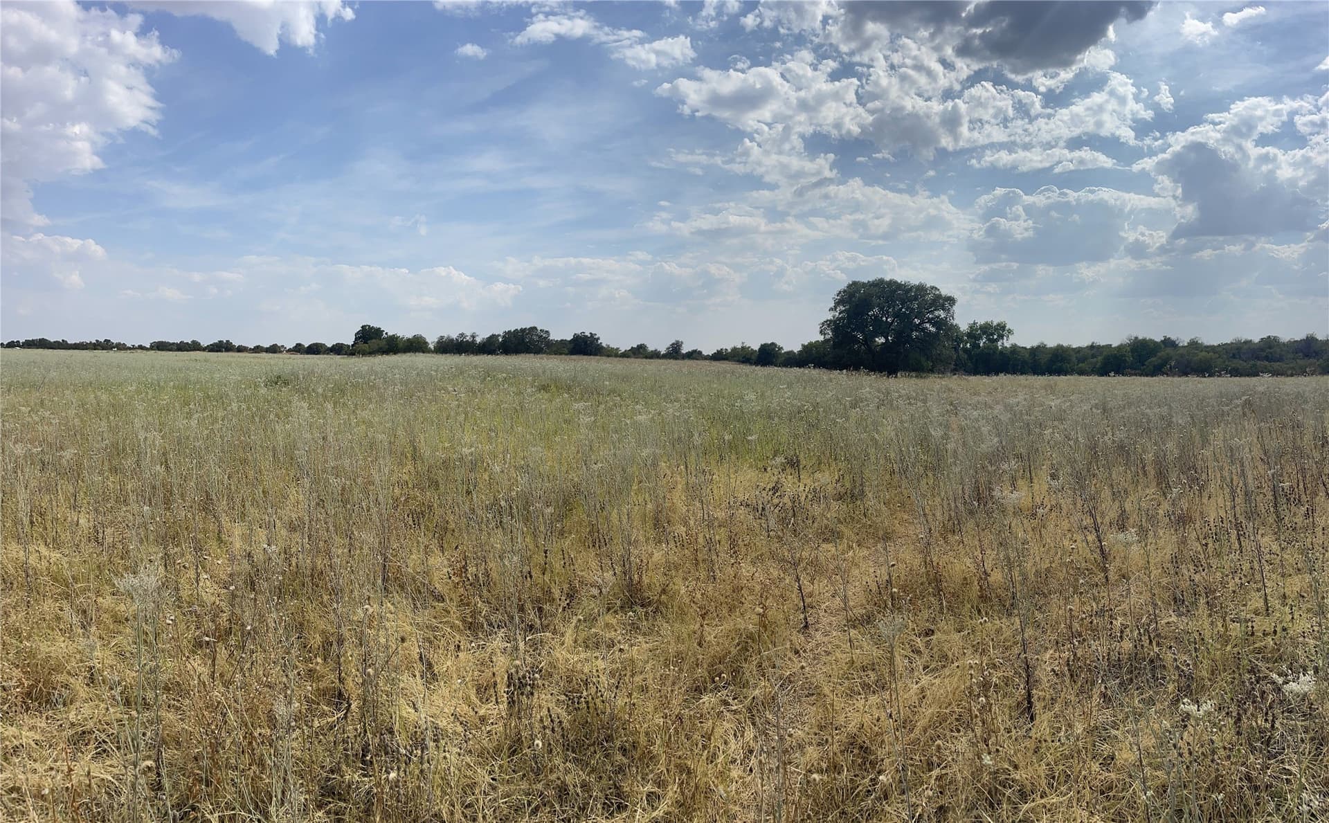 4.3 acres in Jones County - photo 2