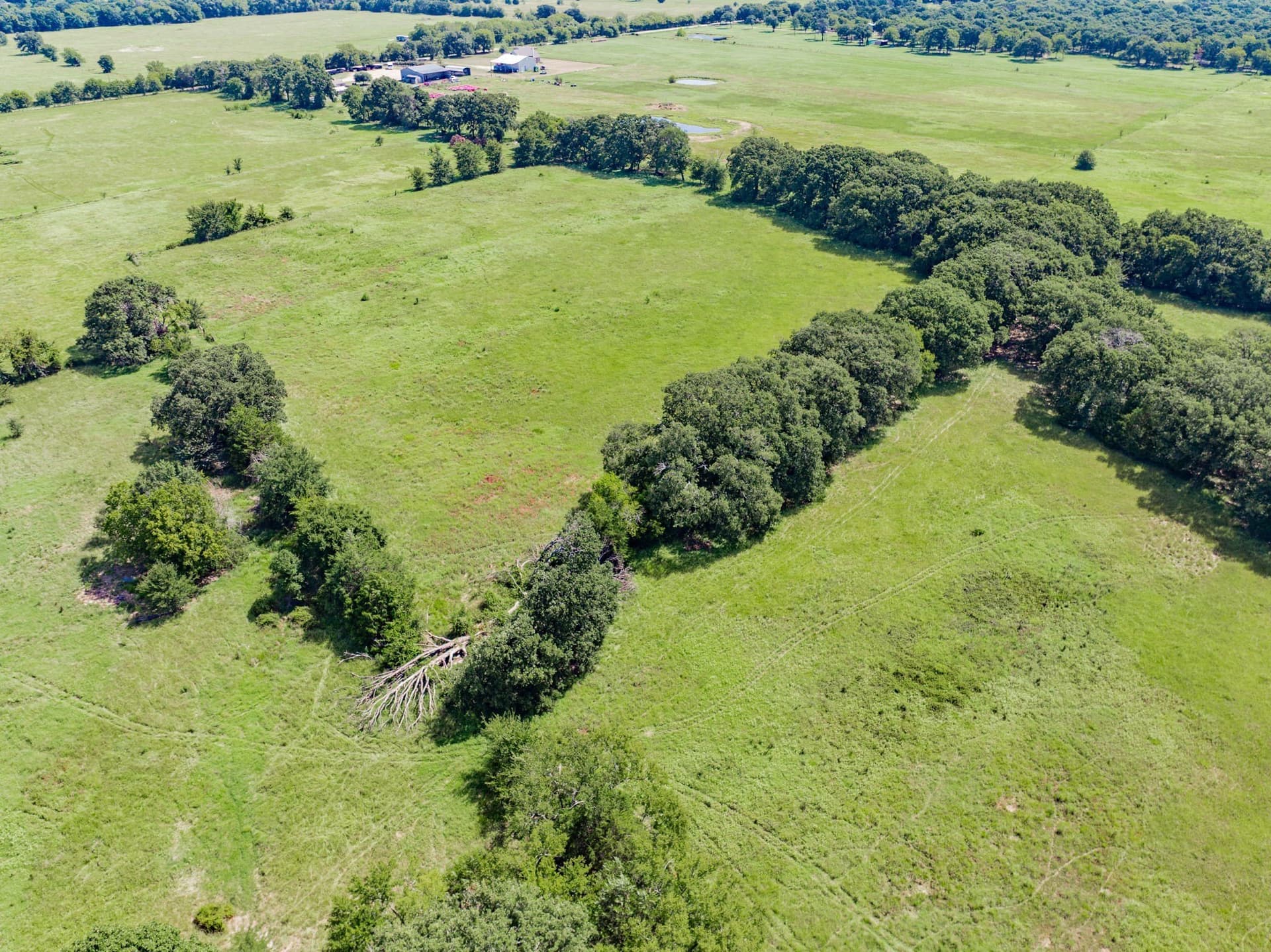 10.01 acres in Kaufman County - photo 9