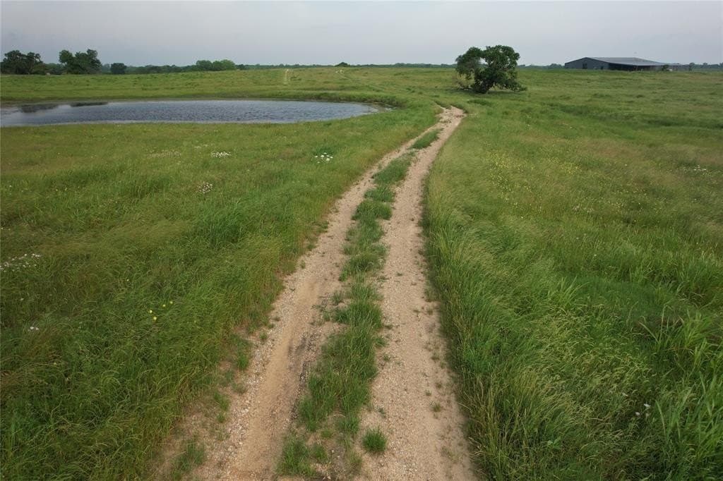 43.9 acres in Hopkins County gallery image 3