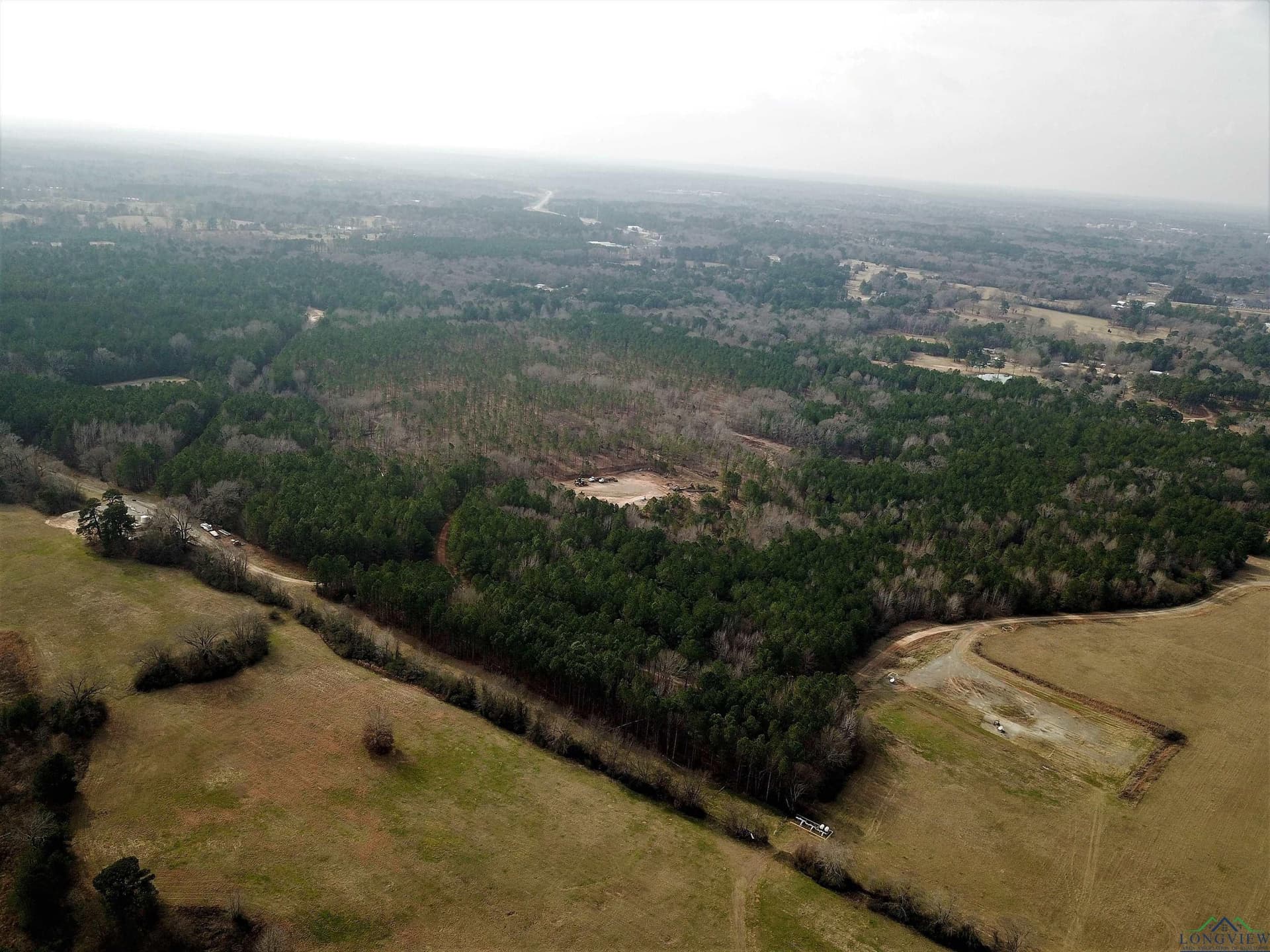 109 acres in Gregg County gallery image 4