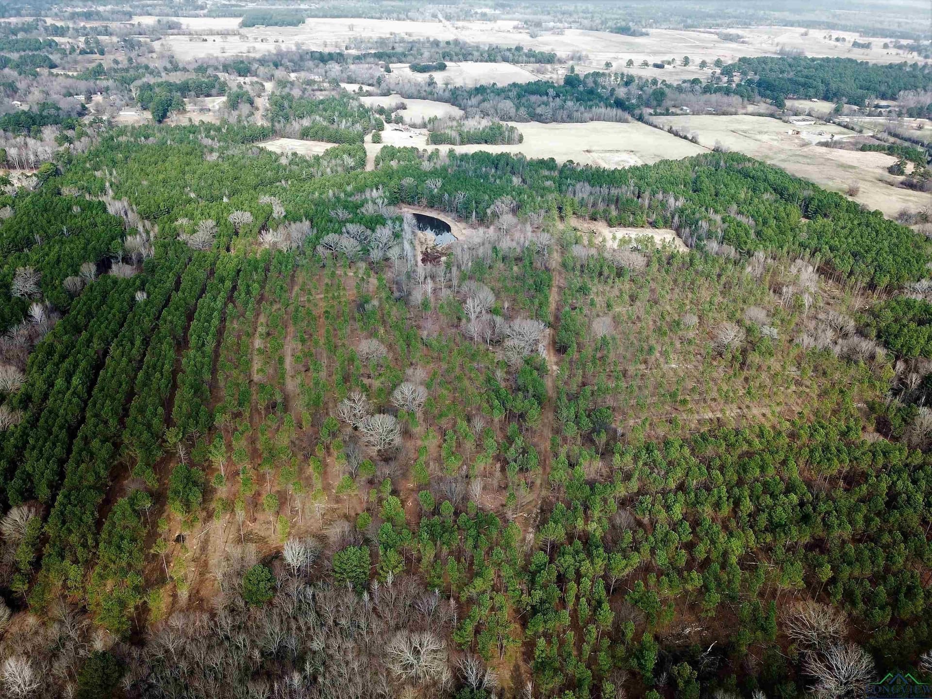 109 acres in Gregg County