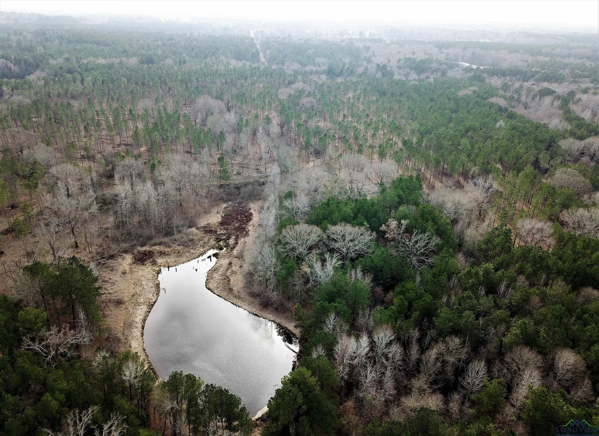 109 acres in Gregg County gallery image 2