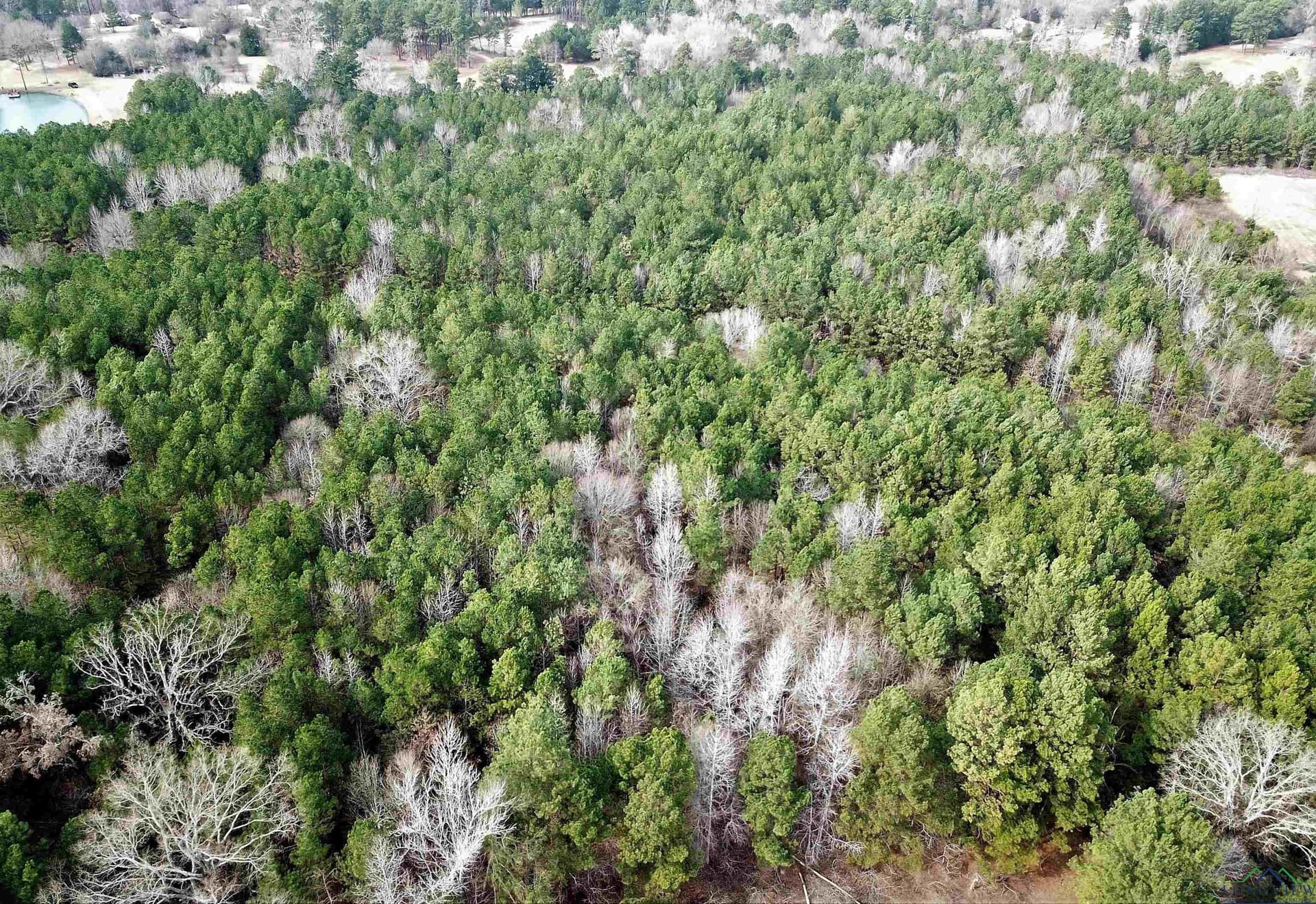 109 acres in Gregg County featured view