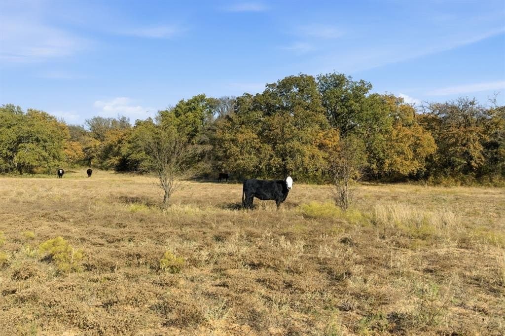 38 acres in Hood County gallery image 3