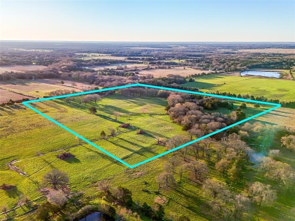 25 acres in Fannin County gallery image 2