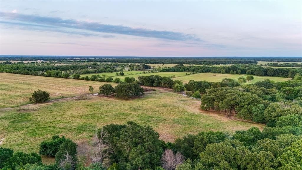 25 acres in Fannin County gallery image 4