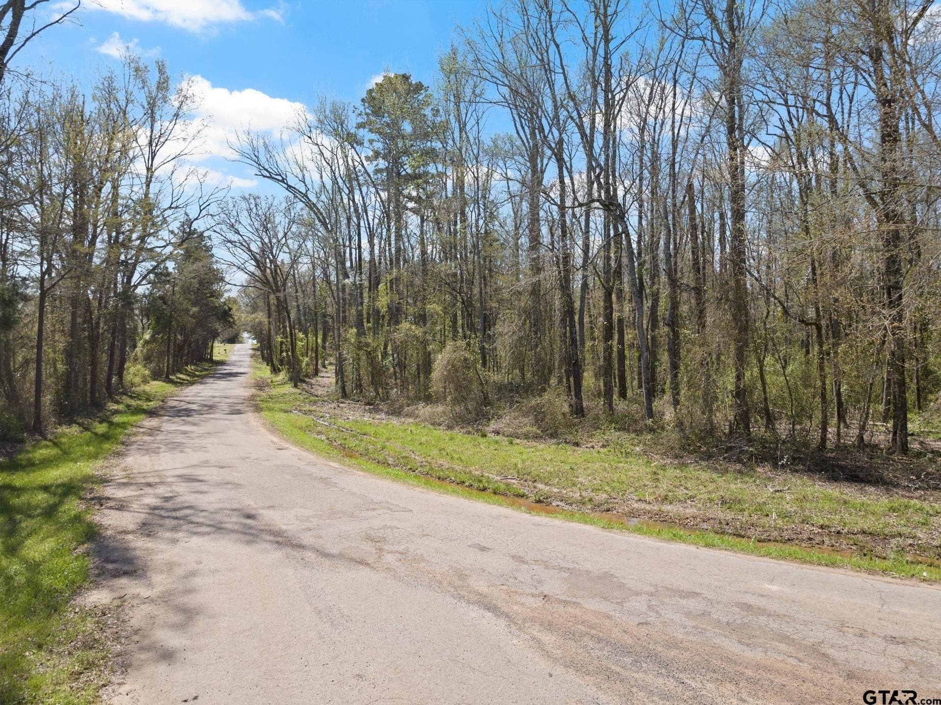 11.29 acres in Titus County gallery image 2
