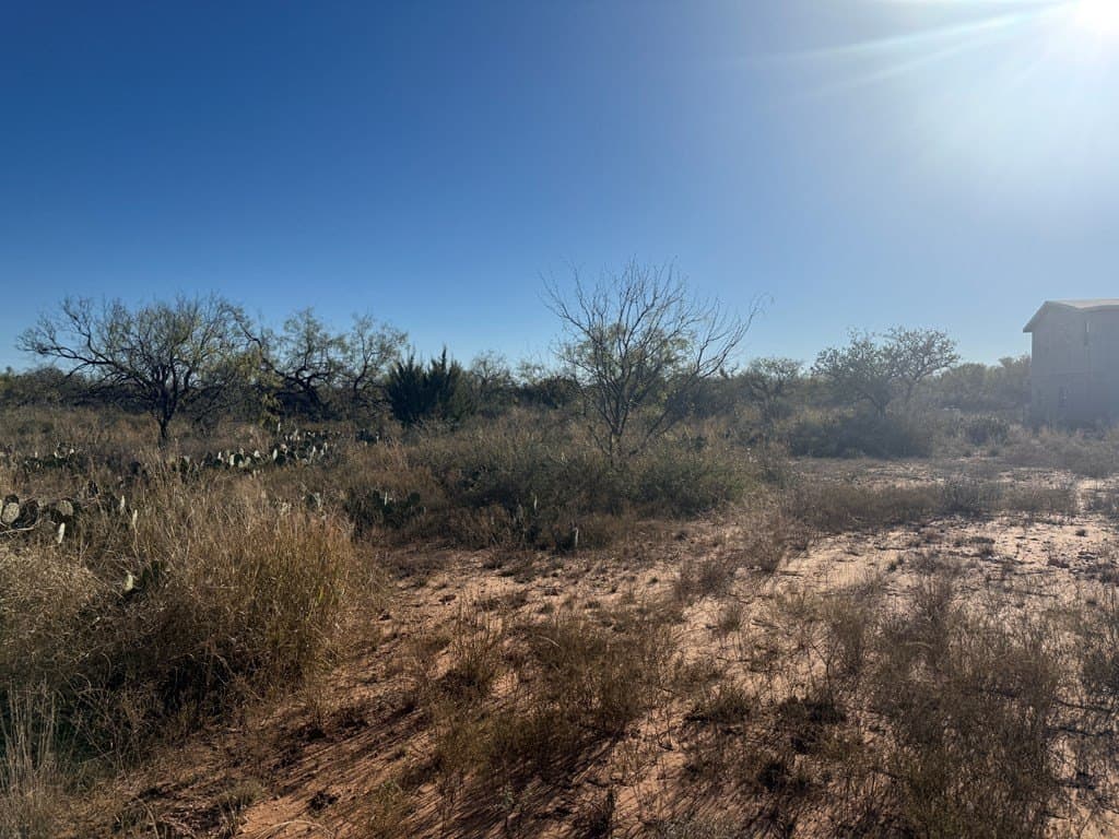 2.99 acres in Tom Green County gallery image 2
