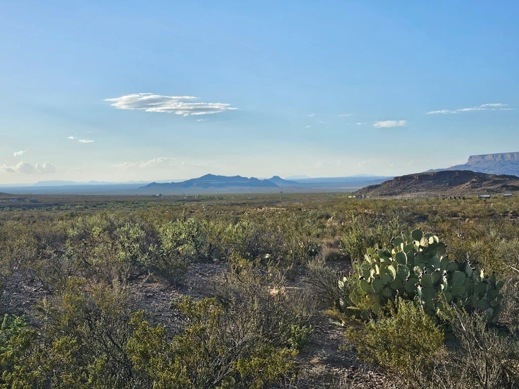 20 acres in Brewster County - photo 4