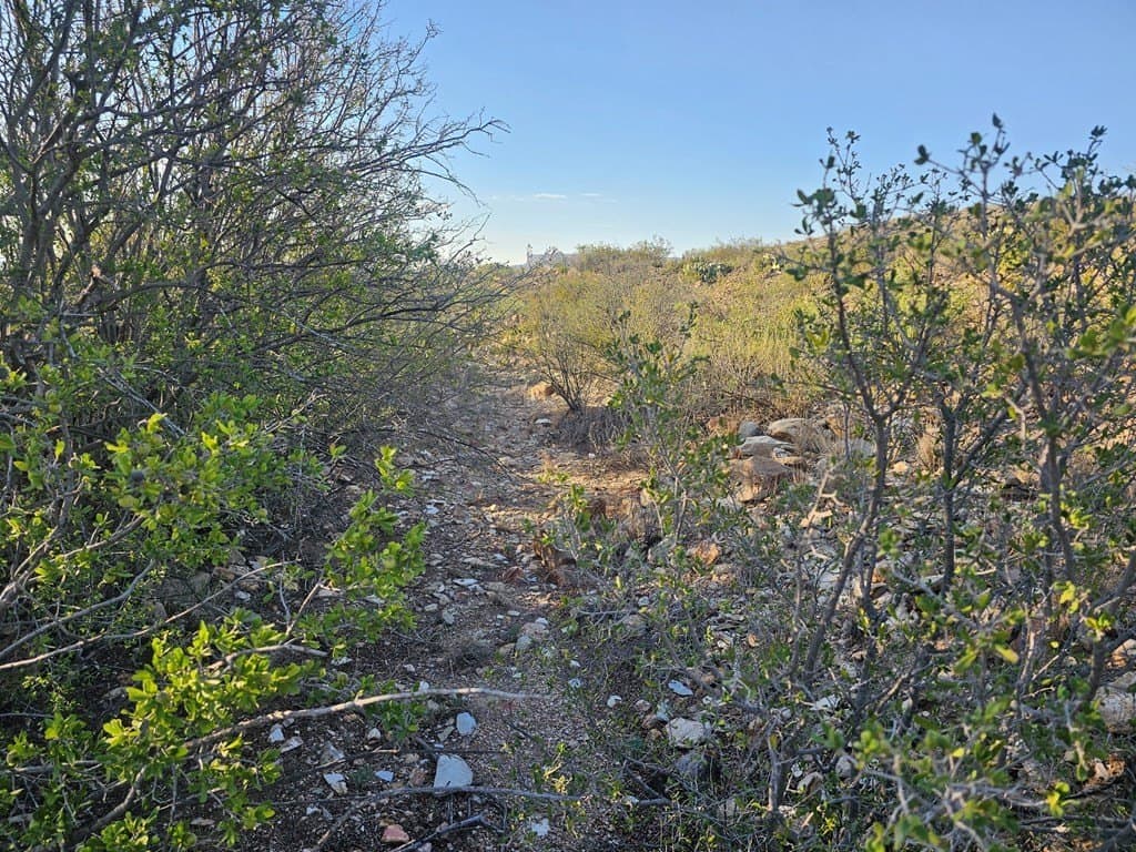 20 acres in Brewster County - photo 5