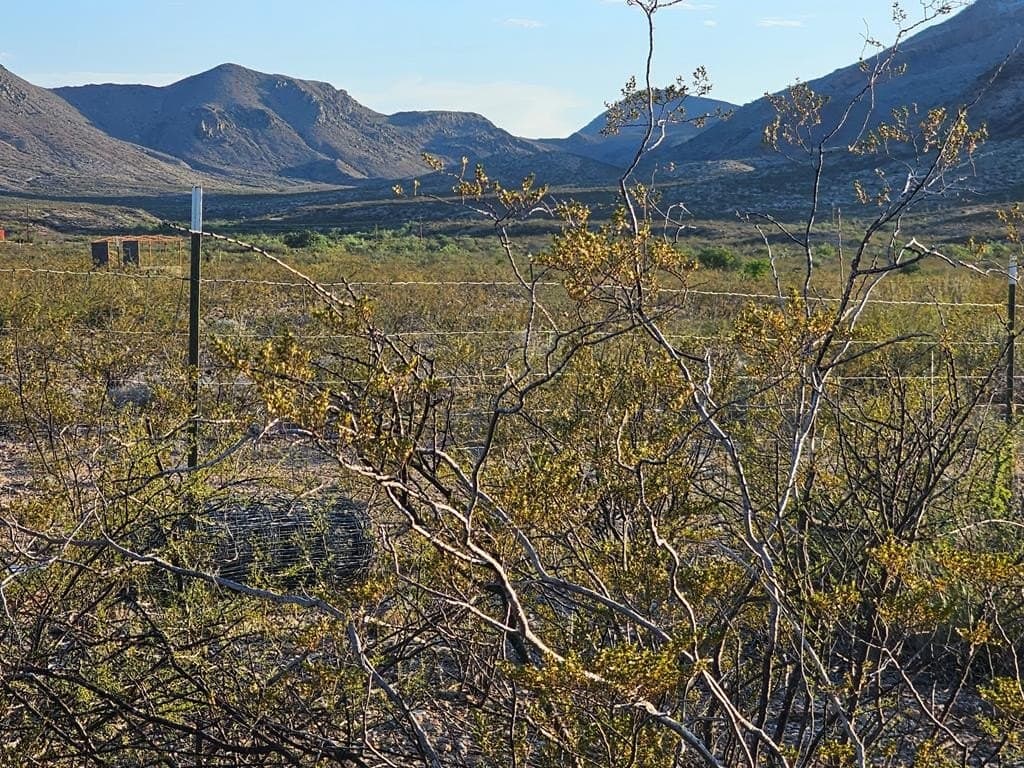 20 acres in Brewster County
