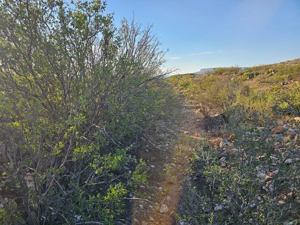 20 acres in Brewster County - photo 27