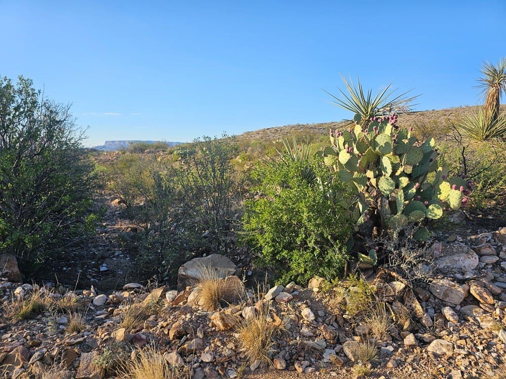 20 acres in Brewster County - photo 28