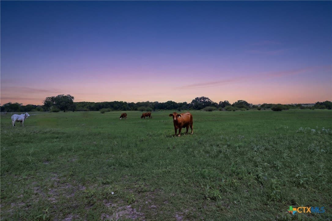 95.57 acres in DeWitt County gallery image 2