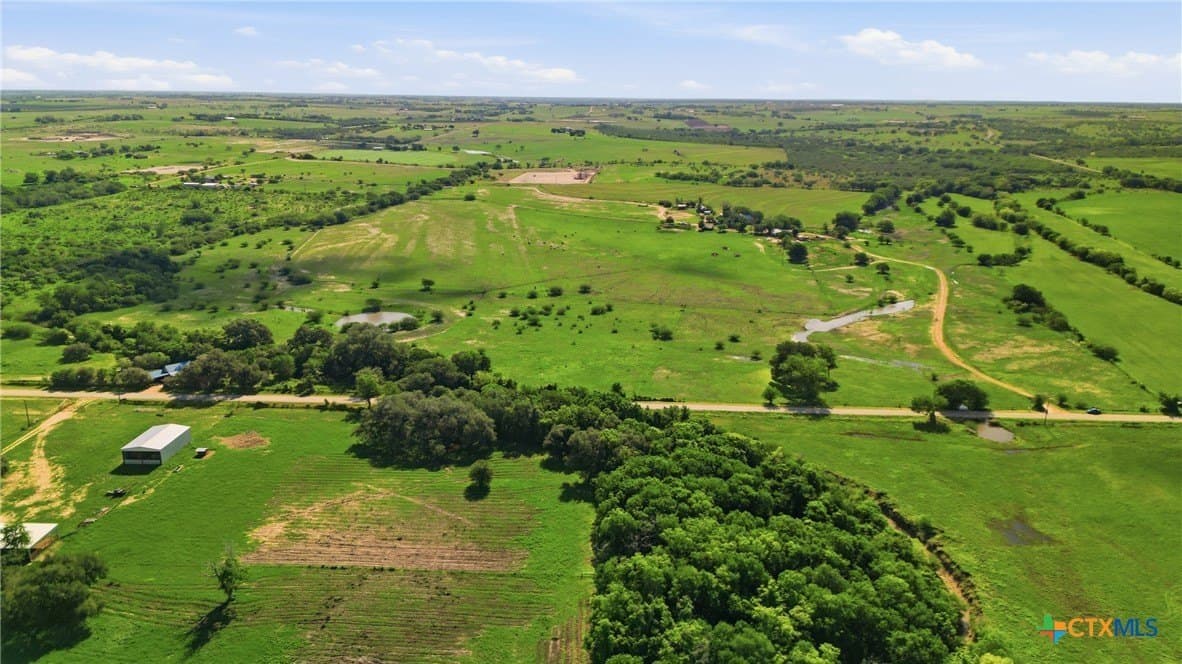 95.57 acres in DeWitt County gallery image 3