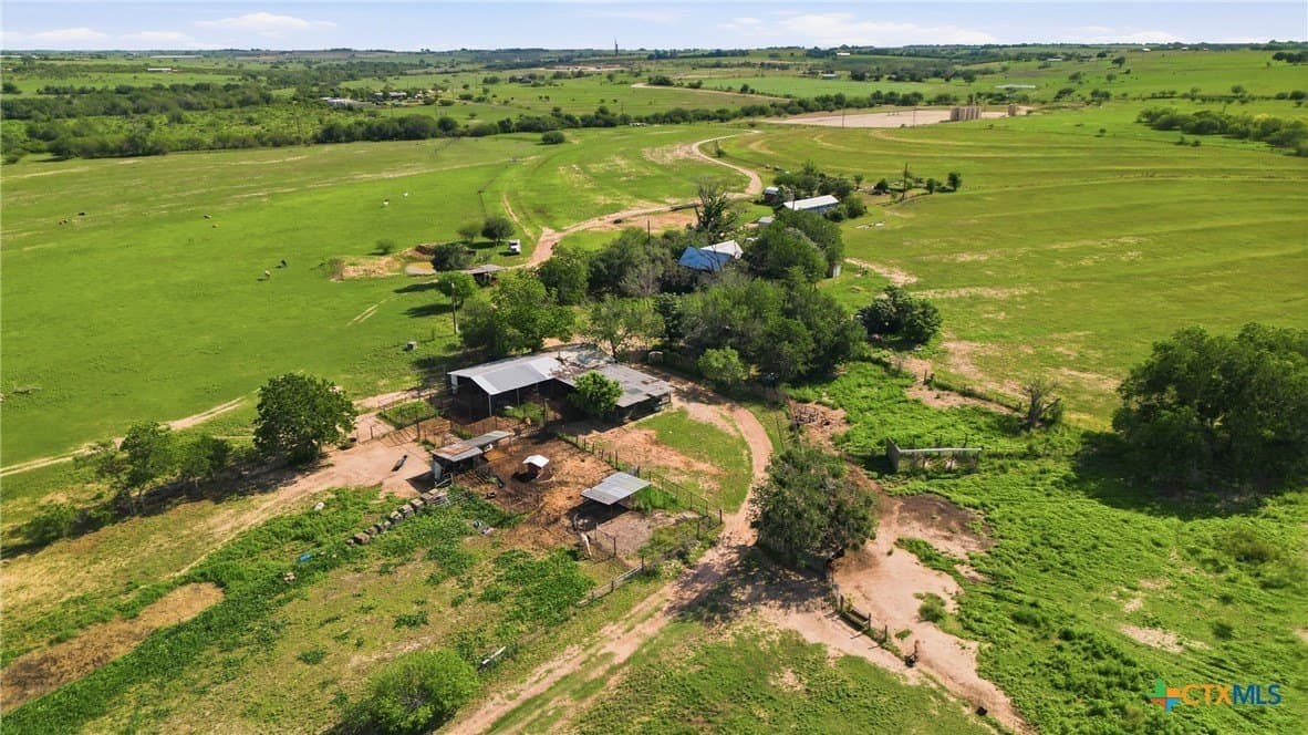 95.57 acres in DeWitt County gallery image 4