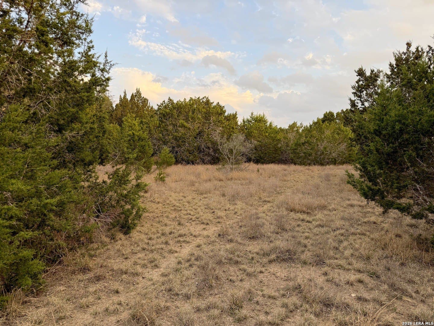 23.87 acres in Comal County - photo 33