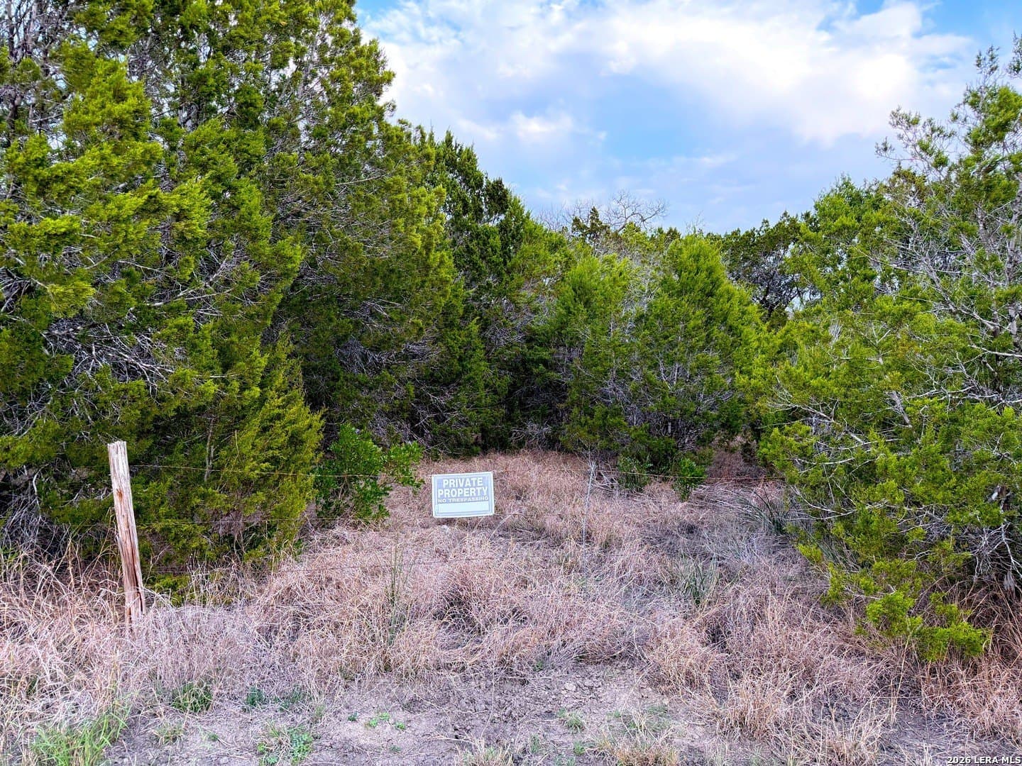 23.87 acres in Comal County - photo 25