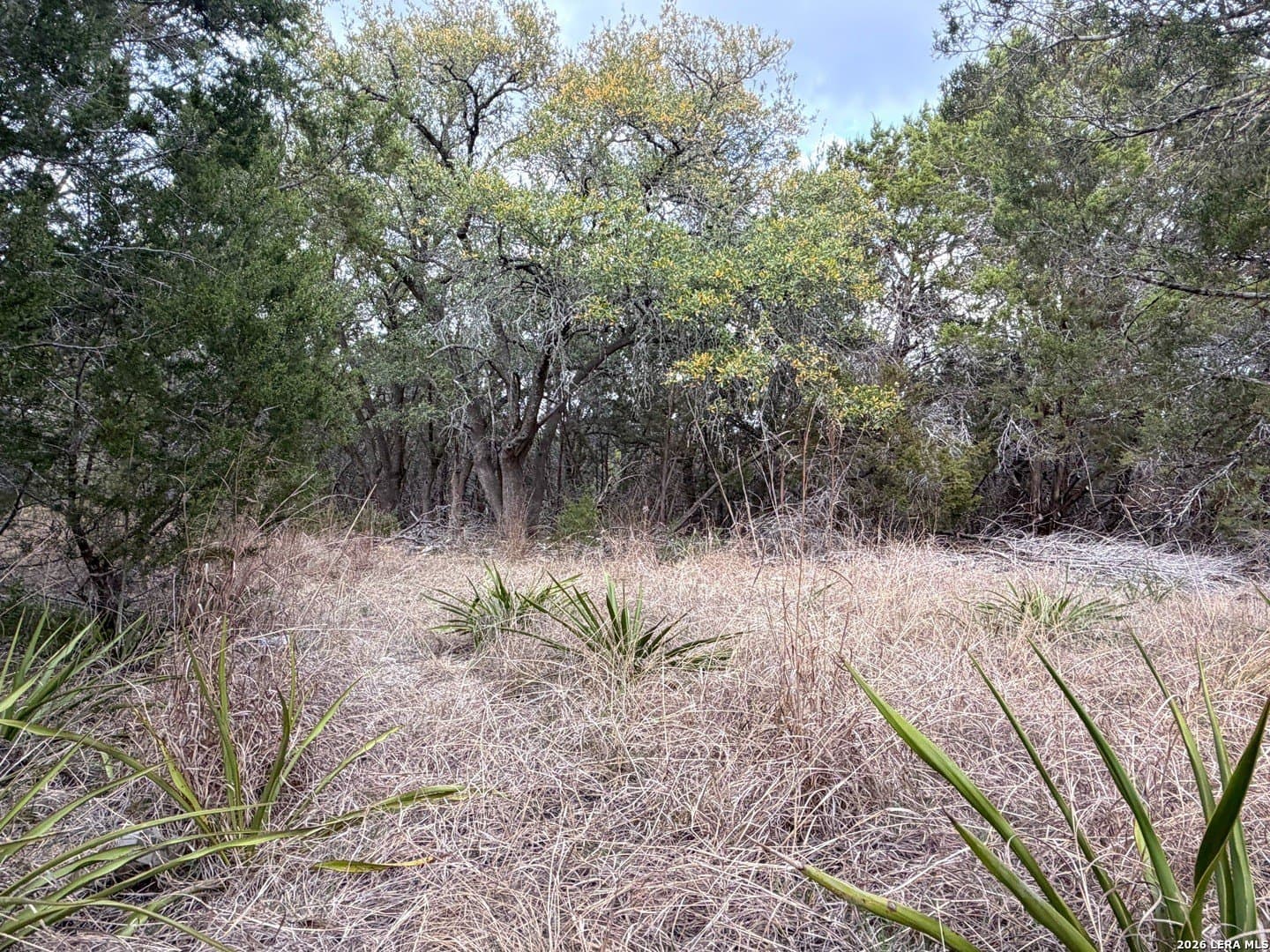 23.87 acres in Comal County - photo 27