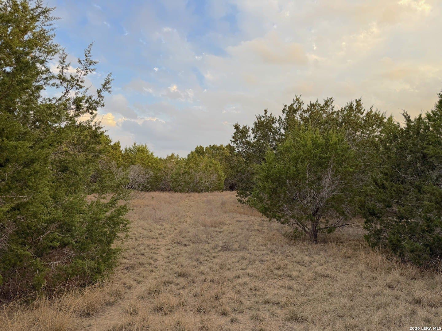 23.87 acres in Comal County - photo 32
