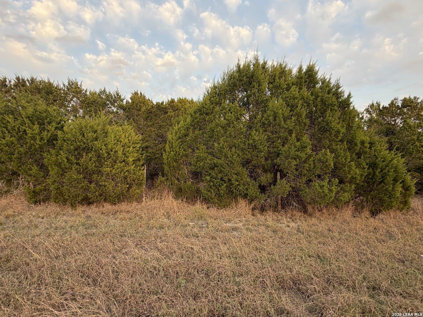 23.87 acres in Comal County - photo 34
