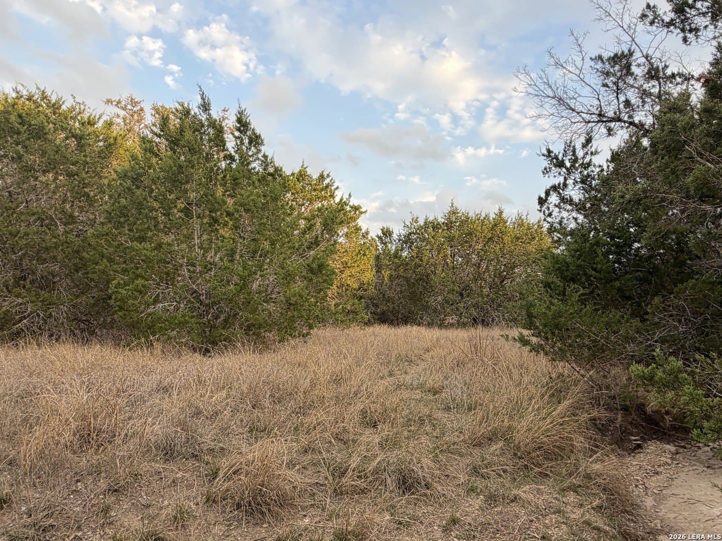 23.87 acres in Comal County - photo 29