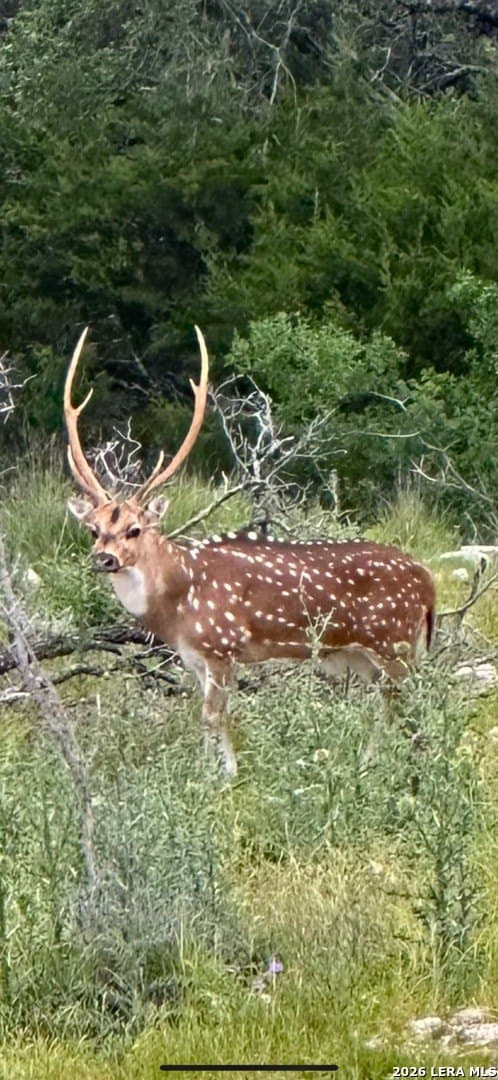 23.87 acres in Comal County - photo 11