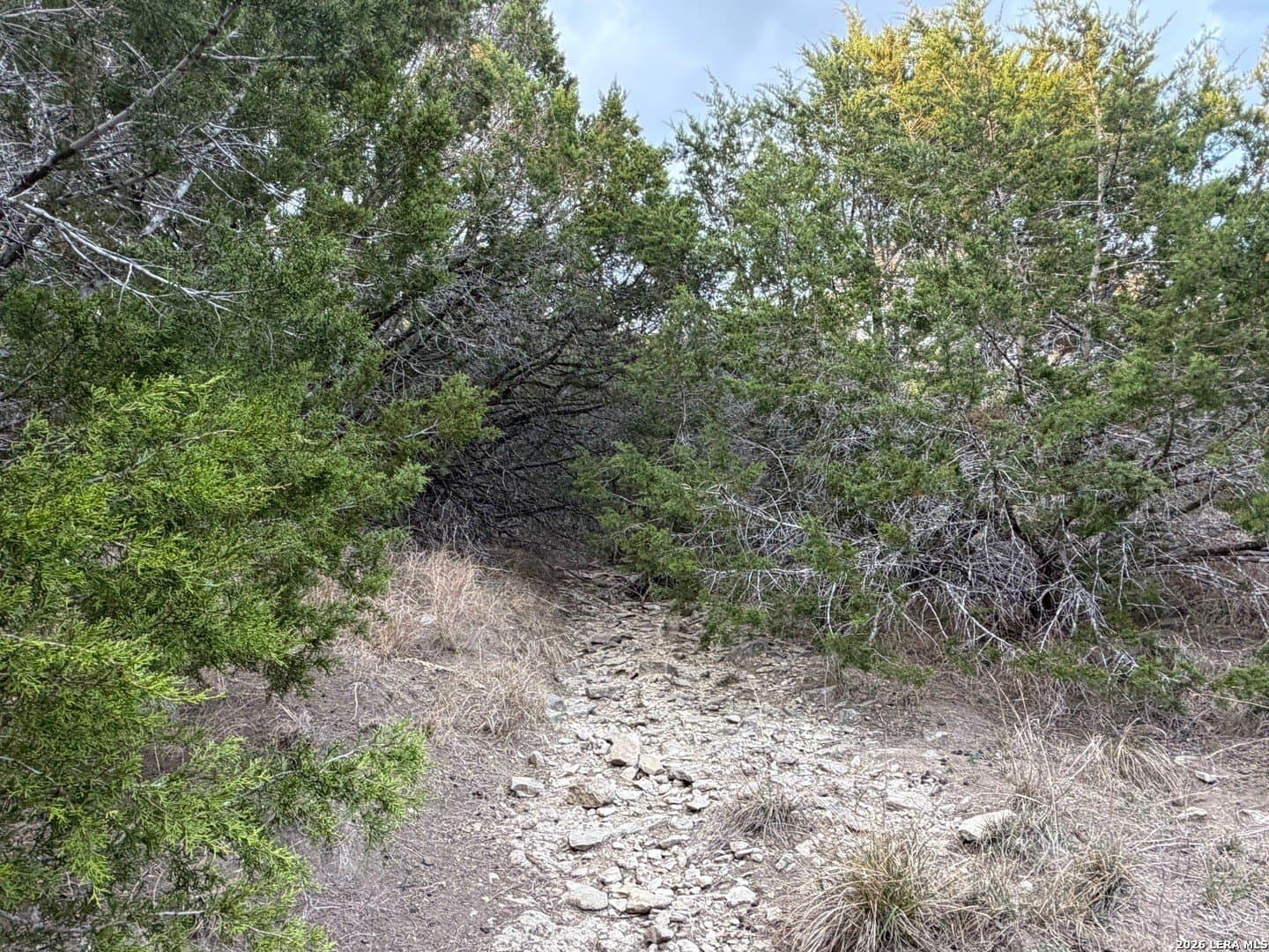 23.87 acres in Comal County - photo 28