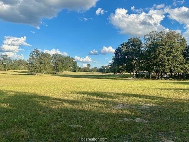 30.78 acres in Leon County gallery image 2