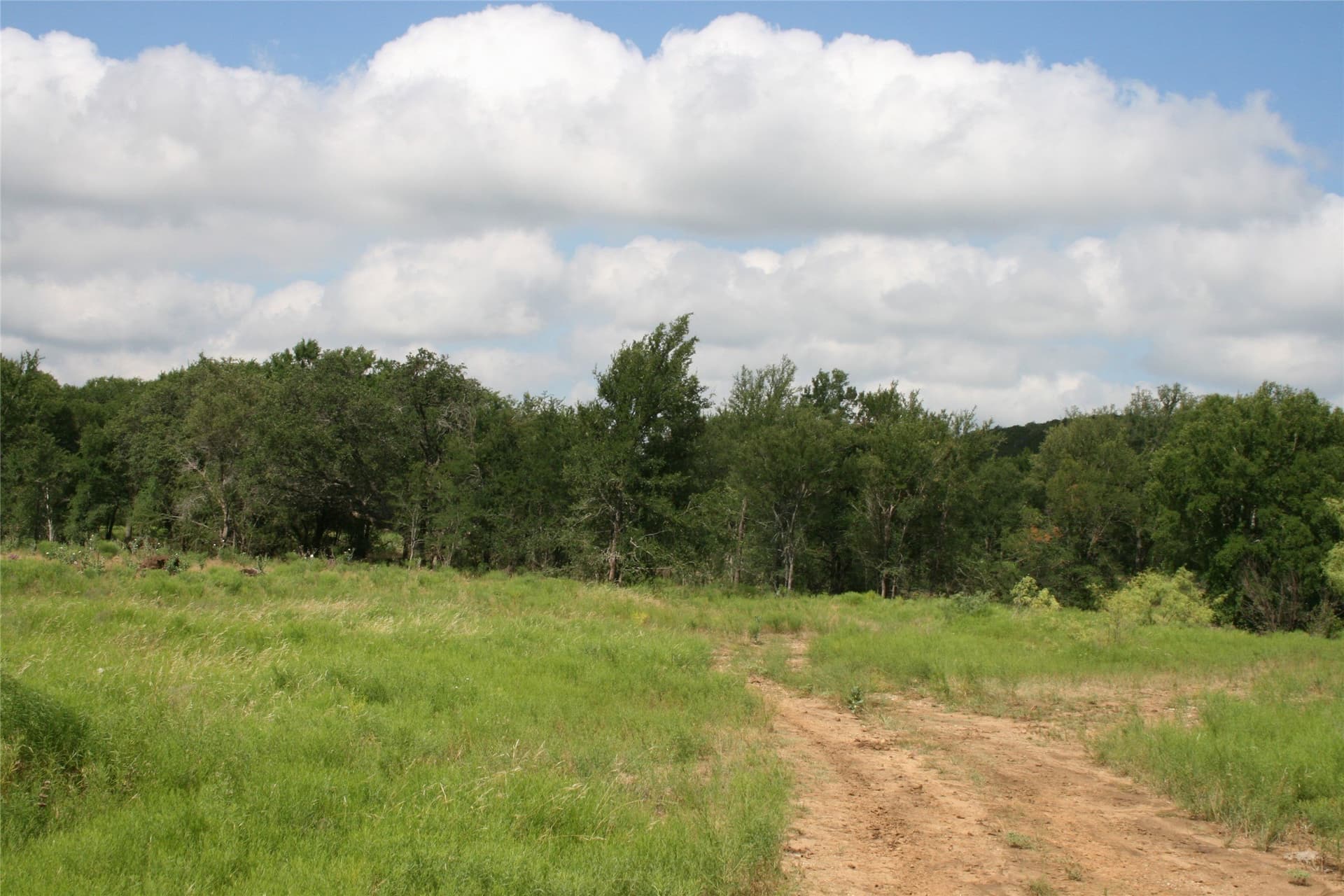 735.8 acres in Palo Pinto County featured view