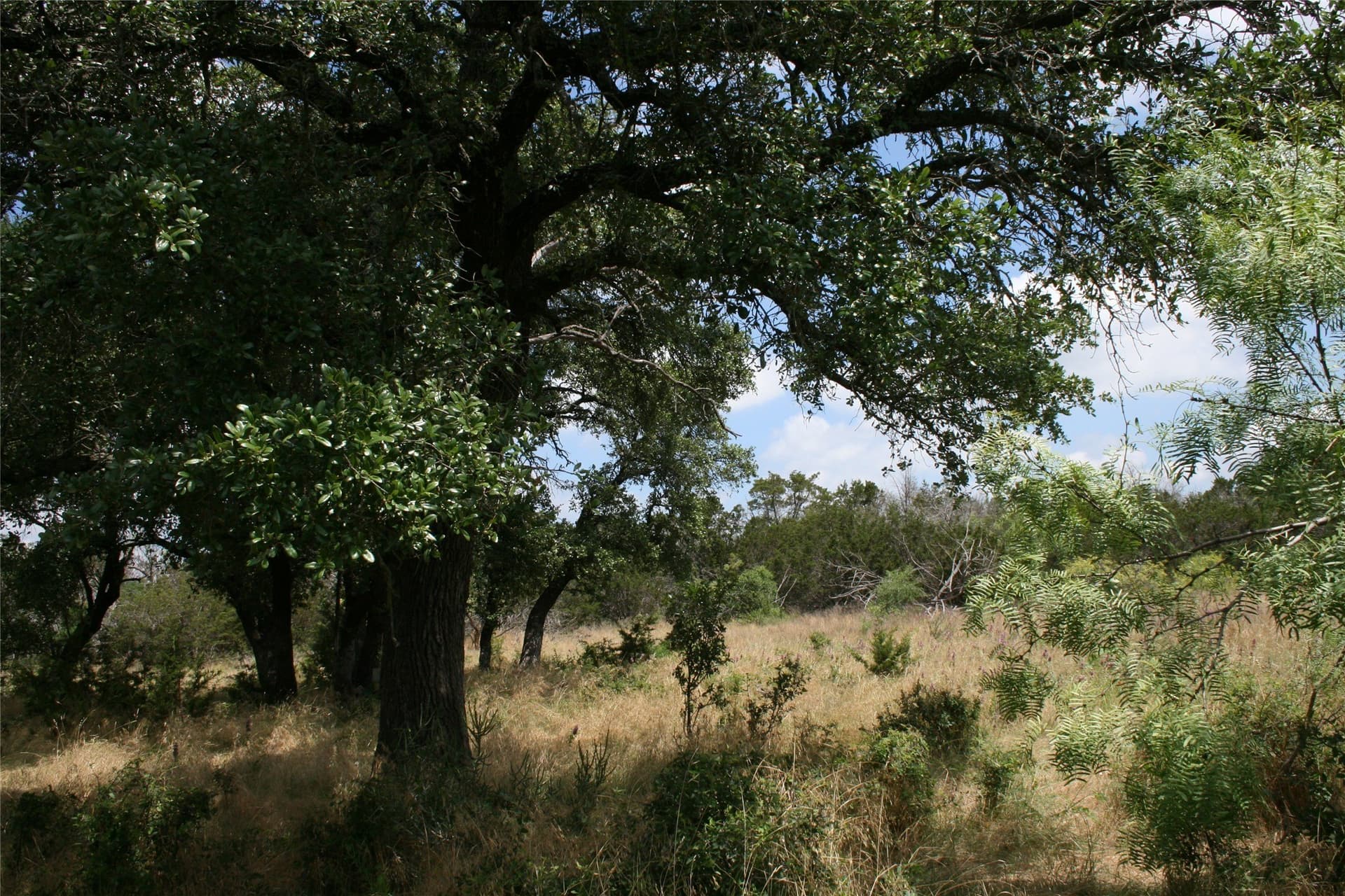 735.8 acres in Palo Pinto County - photo 14