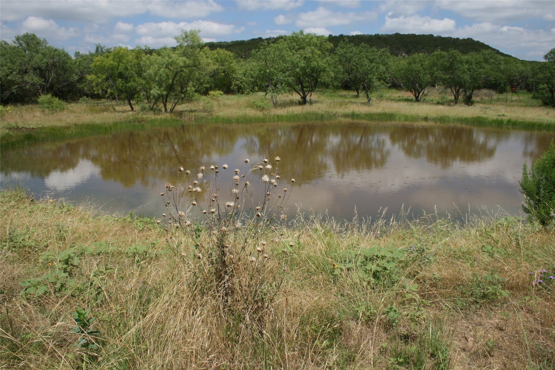 735.8 acres in Palo Pinto County - photo 13