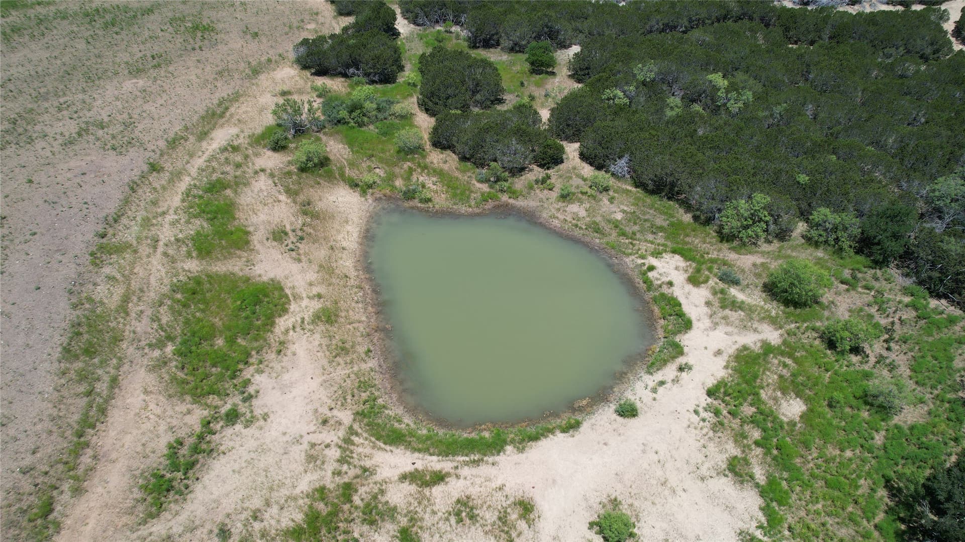 735.8 acres in Palo Pinto County - photo 17