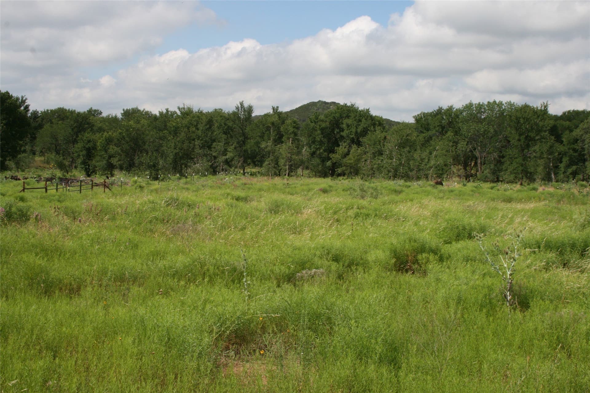 735.8 acres in Palo Pinto County gallery image 4