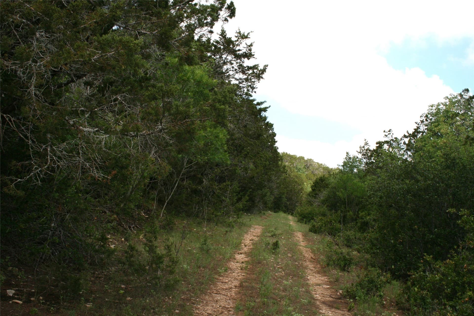 735.8 acres in Palo Pinto County - photo 7